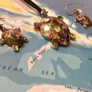 Sterling Silver Turtle Pendant and Earrings